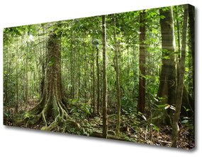 Vászonkép nyomtatás Nature Jungle Erdei fák 100x50 cm