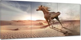 Vászonkép 150x70 Galoppozó ló