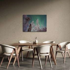 Az aurora borealis képe fagyos fák felett (70x50 cm)
