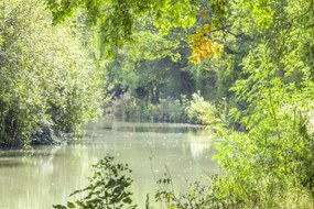 Poszter 60x40cm Basingstoke csatorna, Assaf Frank