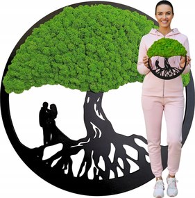 Moha Kép Moha Élő Bonsai Fa Dekoráció