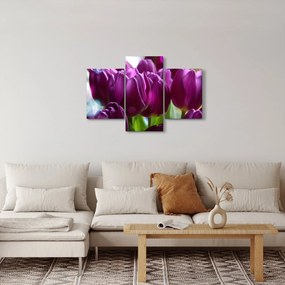 Tulipán képe (90x60 cm)