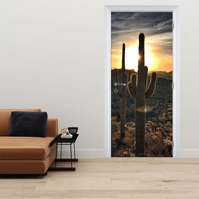 Fotótapéta ajtóra - Kaktuszok a napon (95x205cm)