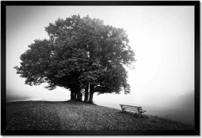 Poszter keretben 60x40 Tájkép szürke Bw