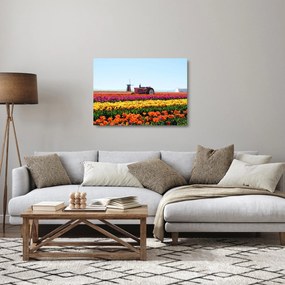 Tulipánfarm képe (üvegen) (70x50 cm)