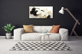 Vászonkép falra Szép virág orchidea 100x50 cm