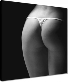 Vászonkép 40x40 Nő tangában