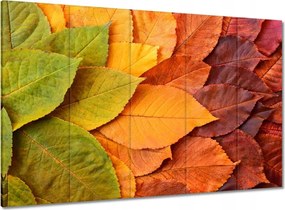 Vászonkép 100x70 Őszi színes levelek Levél