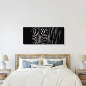 Zebra képe (120x50 cm)