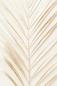 Fotográfia Golden Palm Leaf, Studio Collection