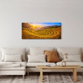 Kép - Rizs teraszok Vietnamban (120x50 cm)