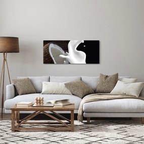 Kép - kókusz tej (120x50 cm)