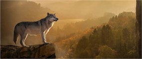 Egy farkas képe a sziklán (120x50 cm)