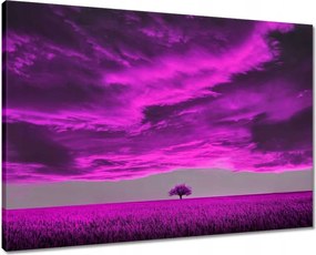 Vászonkép 70x50 Lila tájkép