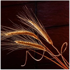 Poszterek 30x30 Kalászok Gabona Természet Bio