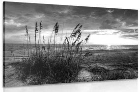 Kép naplemente tengerparton fekete fehérben
