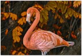 Fotótapéta flizelina 152x104 Gyönyörű flamingó