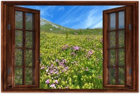 Poszterek 120x80 Alpesi rét