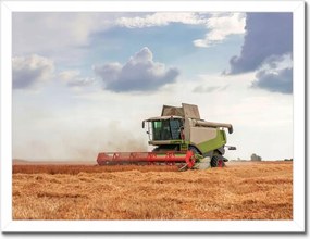 Poszterek keretben 40x30 Kombájn a gabonamezőn