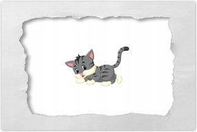 Poszterek 60x40 Cica Cicák