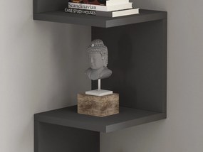 Polc Topike (antracit) . 1095803