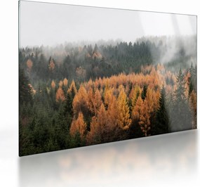 Kép - őszi erdő (üvegen) (70x50 cm)