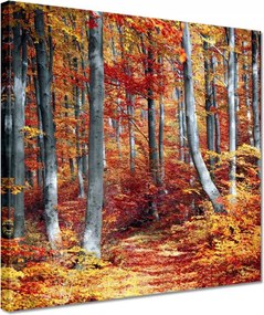 Festmények 30x30 Tájkép