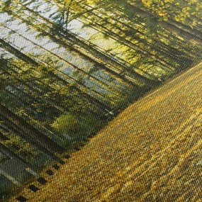 Kép - erdő ősszel (70x50 cm)