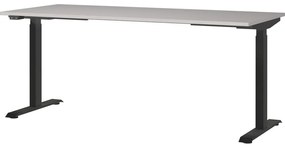 Állítható íróasztal elektromosan állítható magassággal 80x180 cm Bedano – Germania