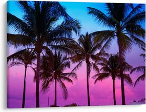 Kép - Pálmafák Miamiban (70x50 cm)