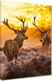 Vászonkép 80x120 Szarvasok a bömbölőn