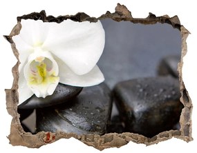 Lyuk 3d fali matrica Orchidea nd-k-143014442