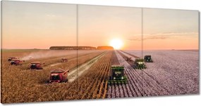 Vászonkép 60x30 Aratás Mezőgazdaság Kombájn