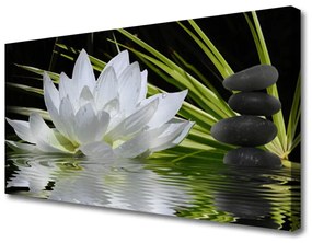 Vászonkép Tavirózsa Flowers 140x70 cm