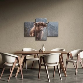 Kép - Highlander tehén (90x60 cm)