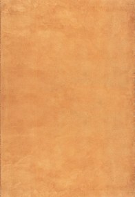 Narancs színű plüss shaggy szőnyeg, 200x290cm, Star Shaggy