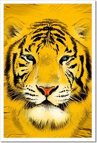 Poszter keretben 40x60 Sárga tigrisfej