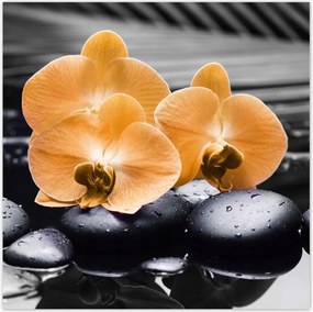 Poszterek 100x100 Narancssárga orchideák