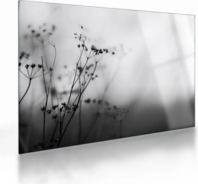 Kép - Réti virágok részlete (üvegen) (70x50 cm)
