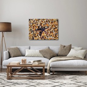 Egy tengeri csillag képe (70x50 cm)