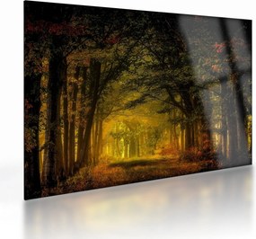 Erdő képe (üvegen) (70x50 cm)