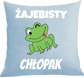 Párna párnahuzat Ajándék Békás Fiú