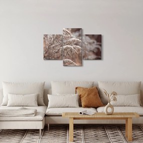 A növények képe (90x60 cm)