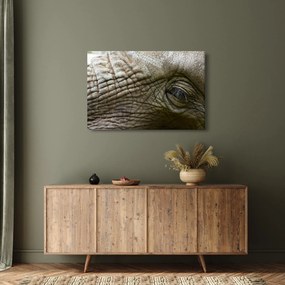 Kép - Közelkép az öreg elefánt szeméről (90x60 cm)