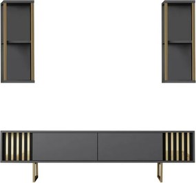 Tévés szekrény polcokkal Linie Anthracite and Gold