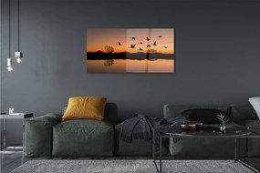 Üvegképek Repülő madarak naplemente 120x60cm