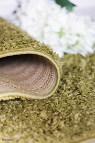 Shaggy Paradise szőnyeg hosszú haj zöld 120x160