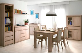 Komód, DTD laminált, tölgy sonoma, NORTY TYP 10