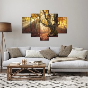 Kép - Őszi fény (150x105 cm)