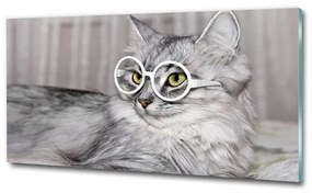 Üvegkép Cat szemüveg osh-115959381